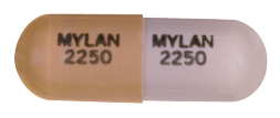 MYCOPHENOLATE MOFETIL Capsules, USP 250 mg